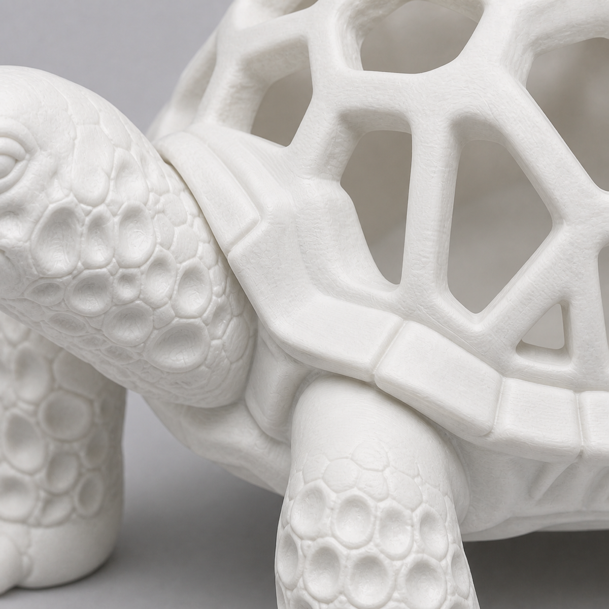 Shelldon™ - Turtle Pencil Holder — detail — view 02